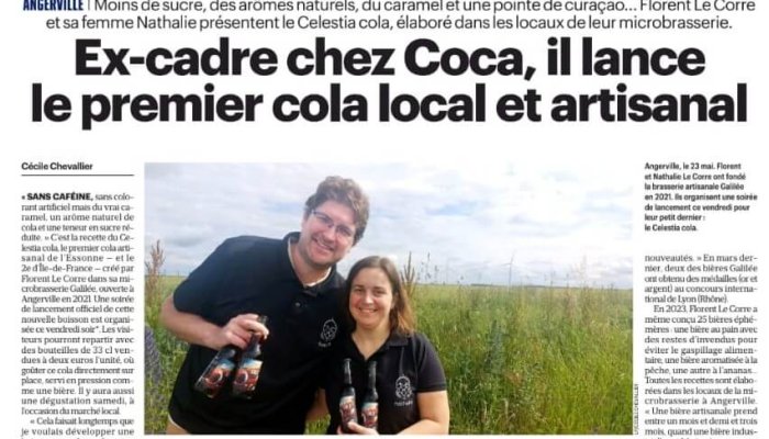 Capture d'écran de l'article publié dans Le Parisien